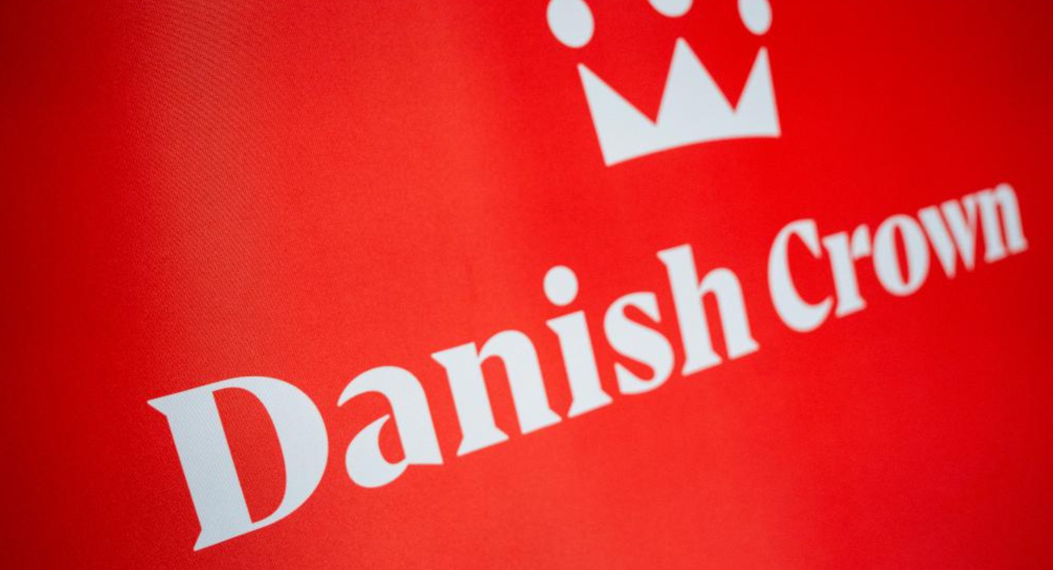 Danish Crown значительно увеличивает субсидии на строительство свинарников