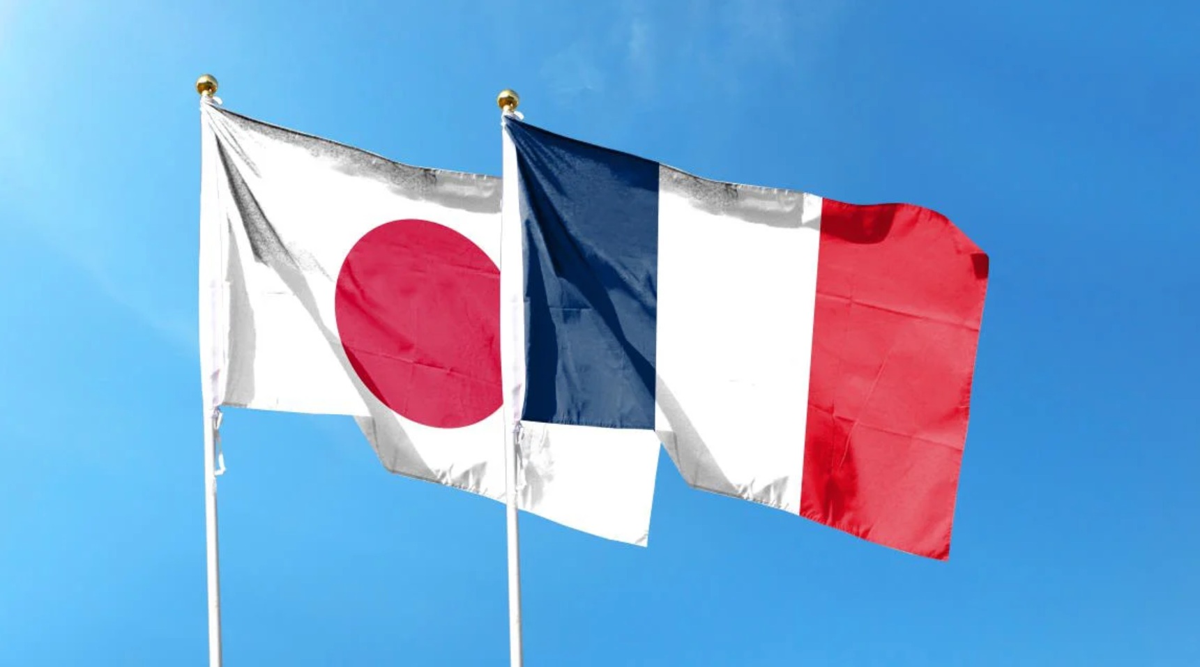 Франция и Япония договорились о регионализации по АЧС