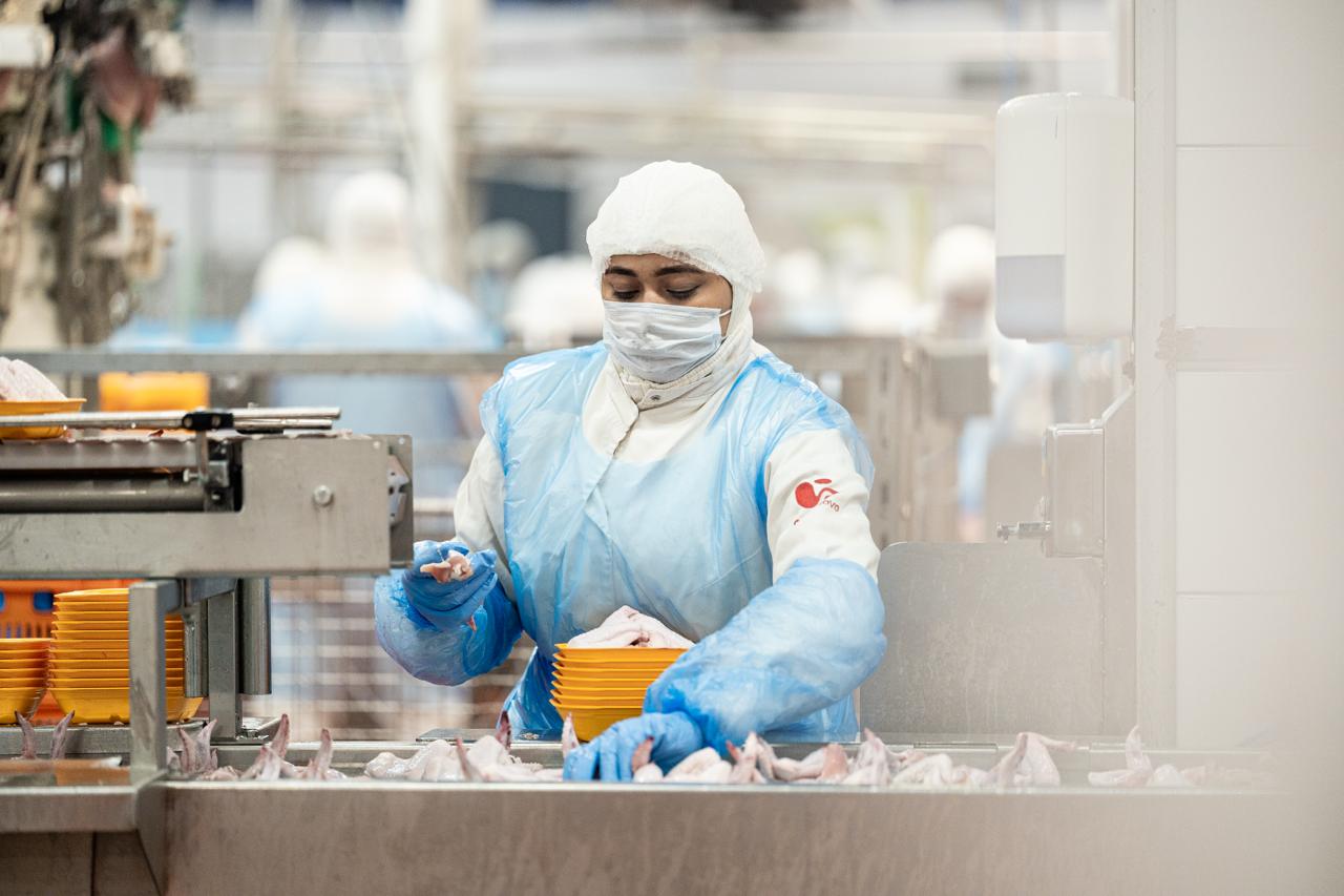 Московская область инвестирует 350 млн рублей в модернизацию предприятия «Куриное Царство»