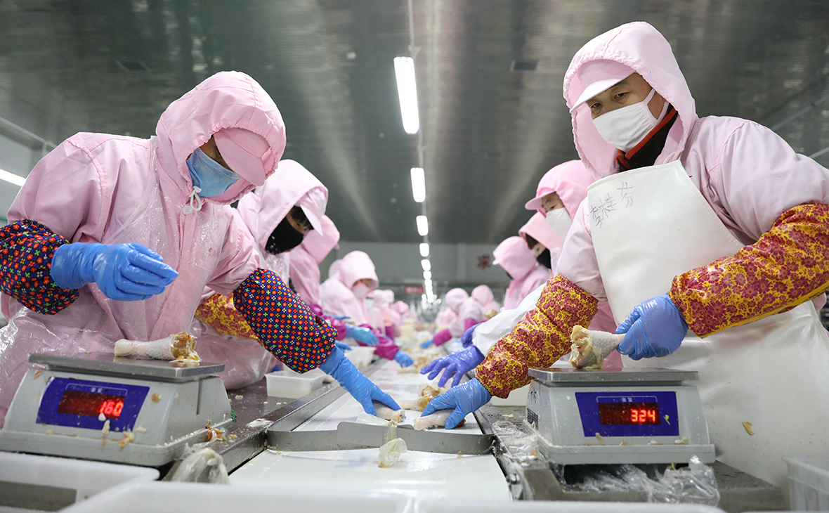 Китайский рынок куриного мяса за октябрь 2025 года