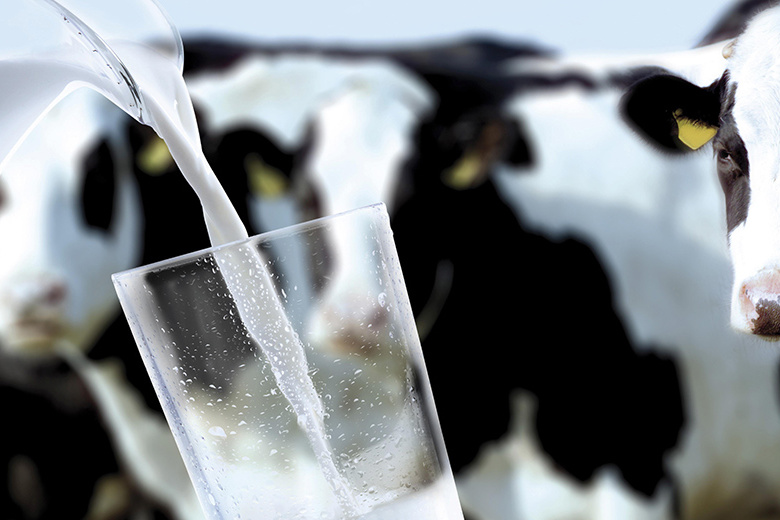 Удмуртия вышла на 4 место по объему производства молока в стране