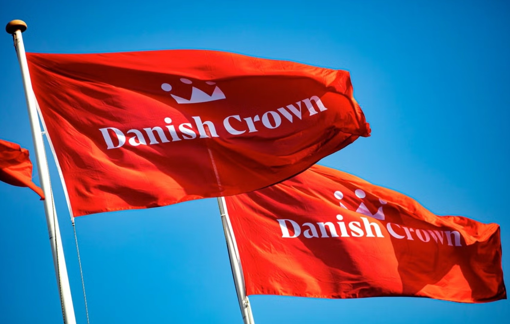 Генеральный директор Danish Crown Нильс Ульрих Дюэдал: «Сегодня наши позиции значительно сильнее, чем год назад»