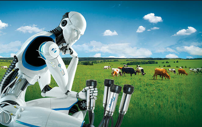 В Игринском районе Удмуртии запустили первую роботизированную ферму