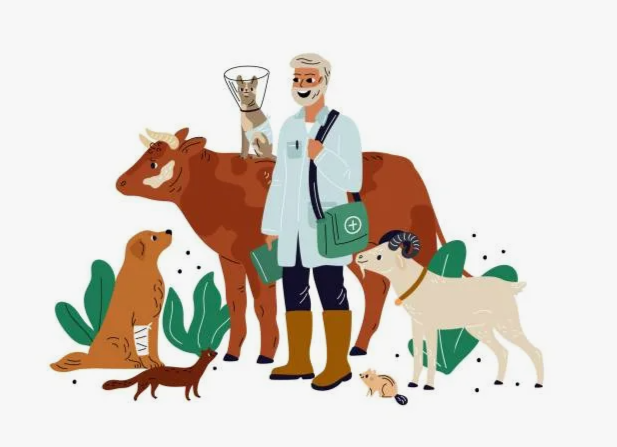 Около 200 ветеринаров обновляют знания об африканской чуме свиней в Кастилии и Леоне