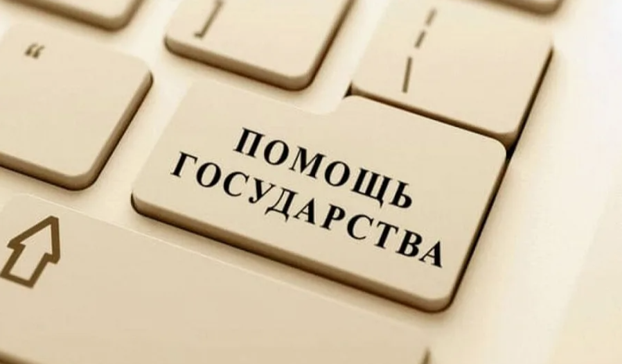 Объем господдержки фермеров Калмыкии, выращивающих телят, увеличат на 25% в 2026 году