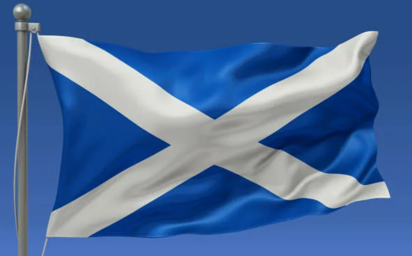 Вспышка птичьего гриппа на птицефабрике в Шотландии