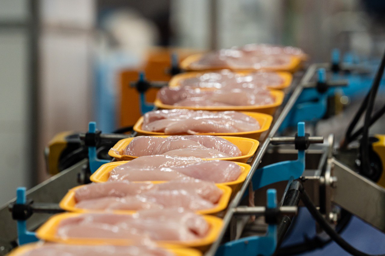 В Подмосковье произвели более 320 тысяч тонн мяса: итоги года в животноводстве