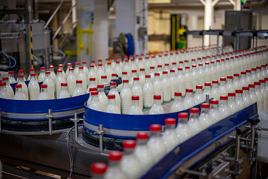 Объём реализации молока в сельхозорганизациях вырос на 5,6%