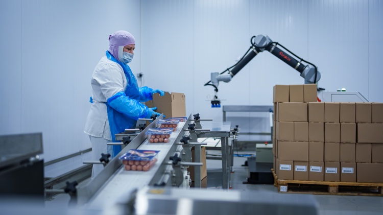 «Мясокомбинат Клинский» совершенствует производство на основе системы кайдзен