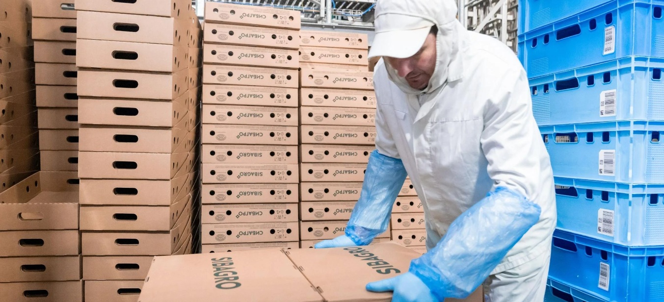 Компания «Сибагро» увеличила экспорт на 30%