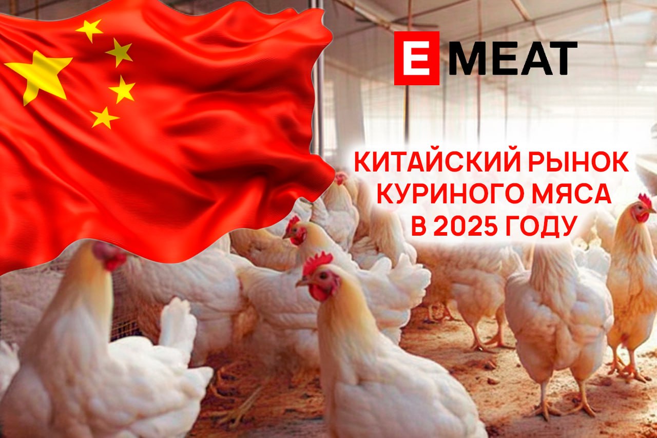 Рынок куриного мяса в Китае – актуальные тренды 2025 года