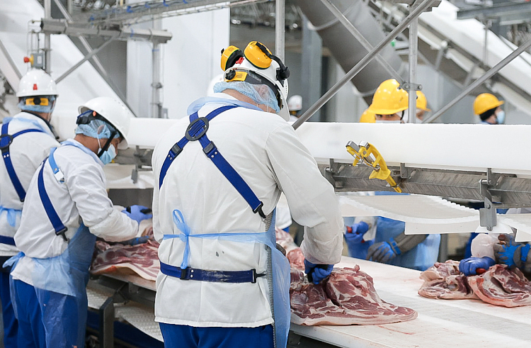 На 40% увеличилось производство мяса в Приморье