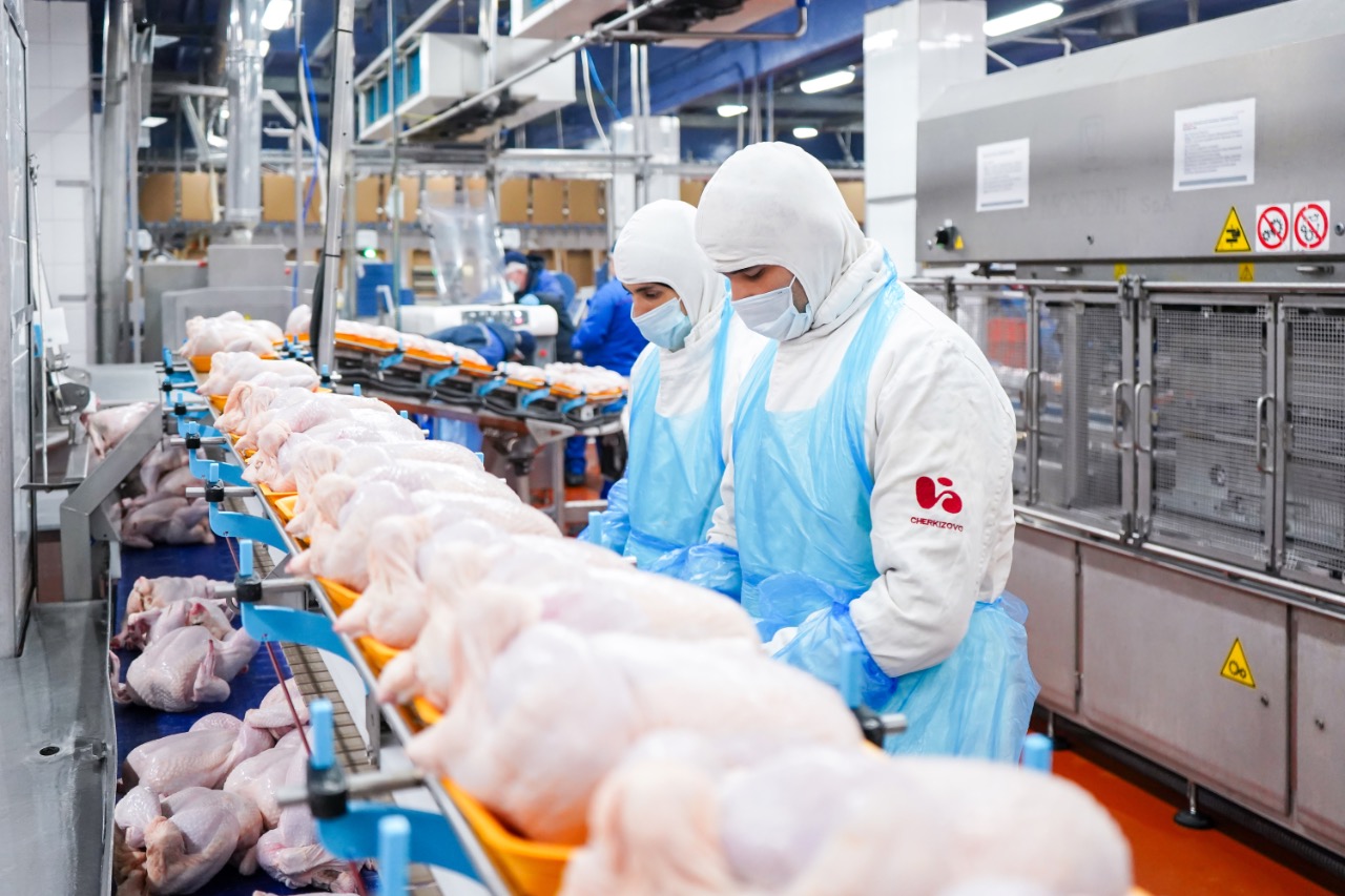Подмосковные птицефабрики вошли в рейтинг крупнейших производителей бройлеров в России по итогам 2025 года