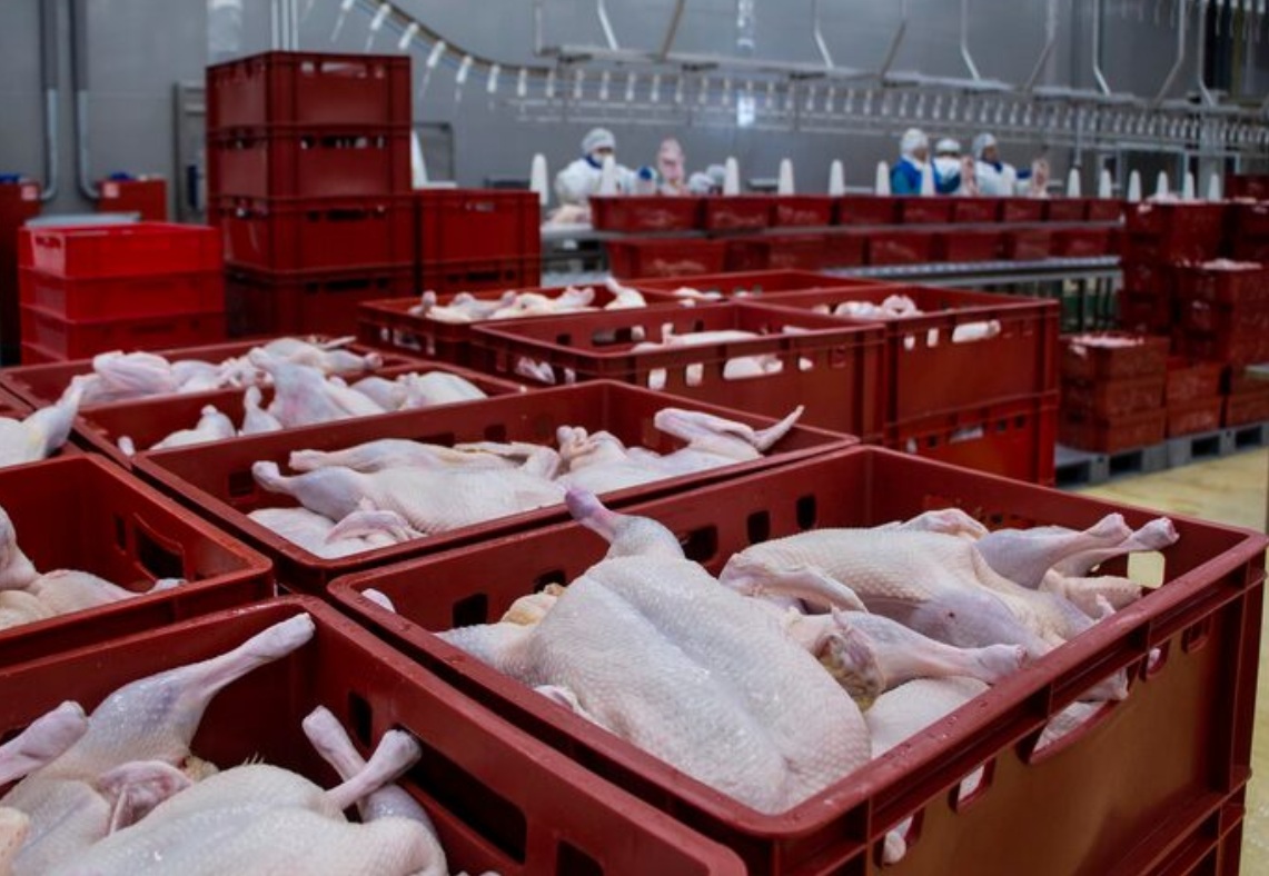 Бразилия в январе сократила поставки куриного мяса в Россию вдвое