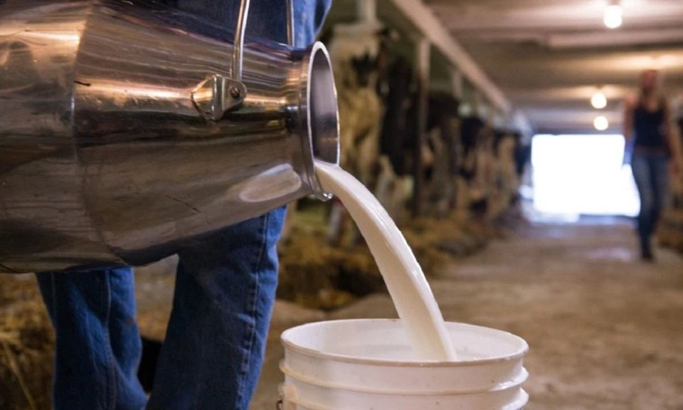 Вырос объём реализации молока в сельхозорганизациях