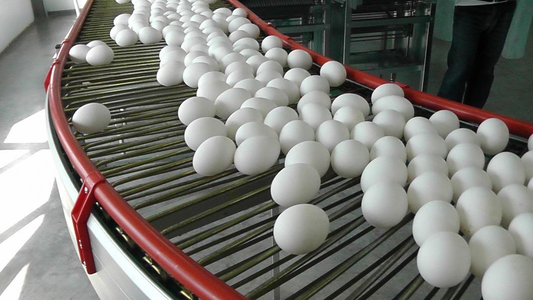 Оптовая стоимость яиц выросла более чем на 80%