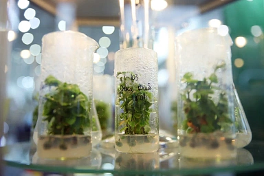 Российский АПК укрепляет технологическую независимость