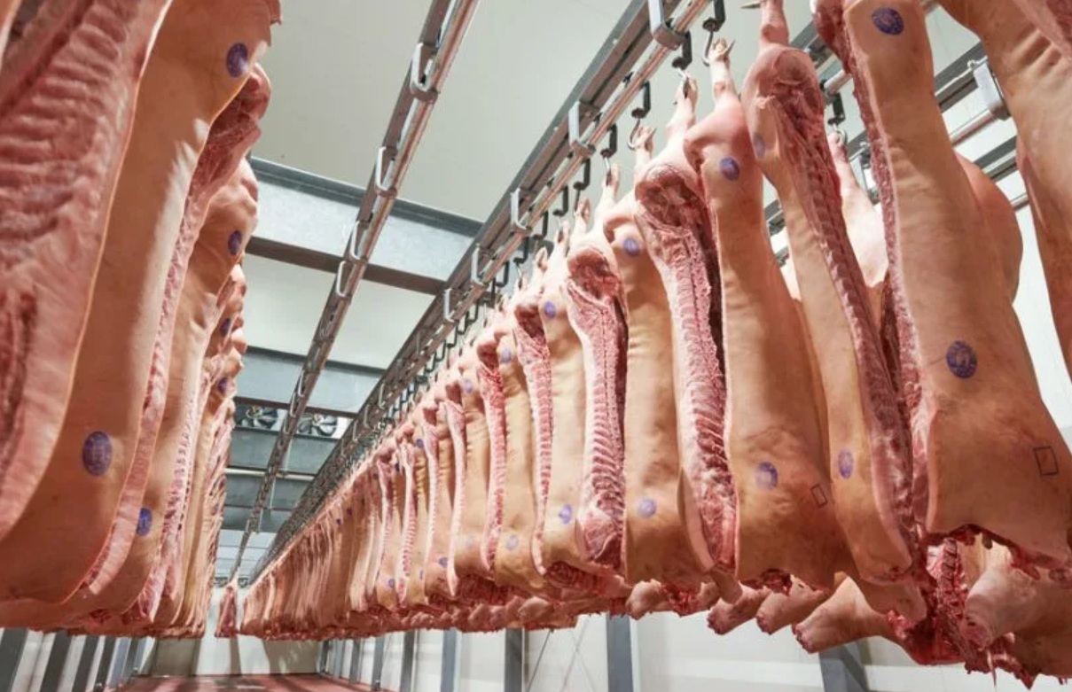 Россельхознадзор выявил двукратный рост экспорта свиноводческой продукции в КНР
