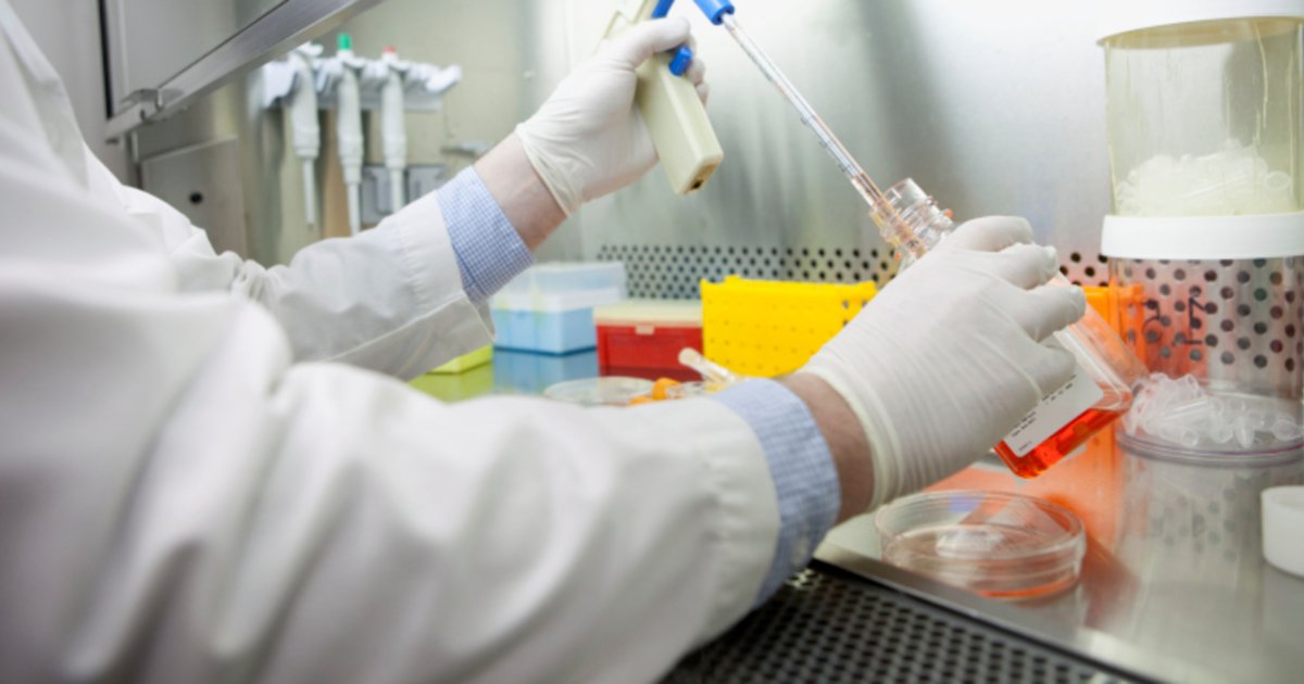 Россельхознадзор выявил поступление в Забайкалье мяса птицы с сальмонеллой