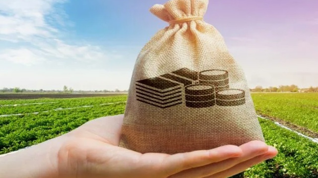 Объем инвестиций в основной капитал сельского хозяйства в РФ в 2025 году снизился на 3,6%