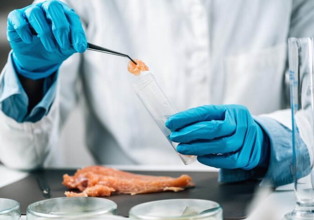 В партии мяса курицы из КНР обнаружены остатки антибиотика