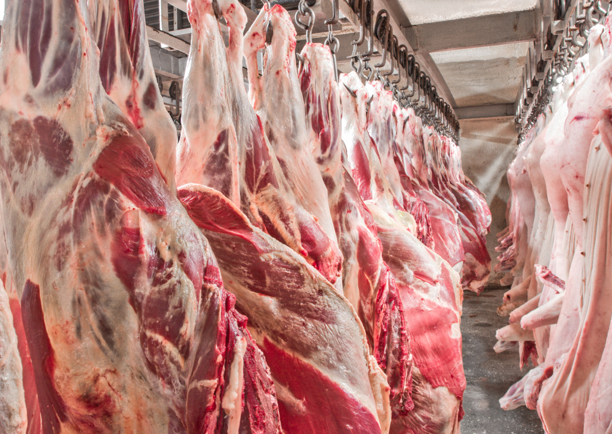 В дагестанском селе построят мясокомбинат за 350 млн