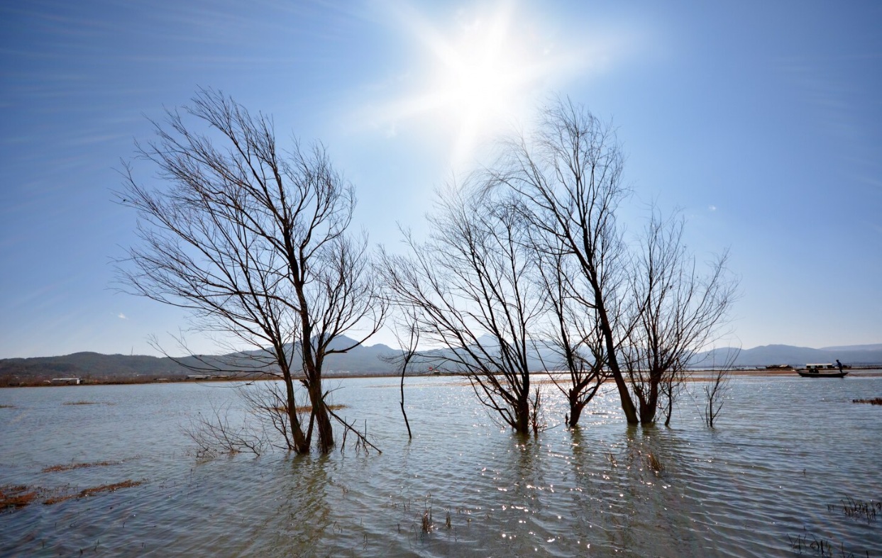 В Дагестане из-за паводков затопило два птицеводческих предприятия