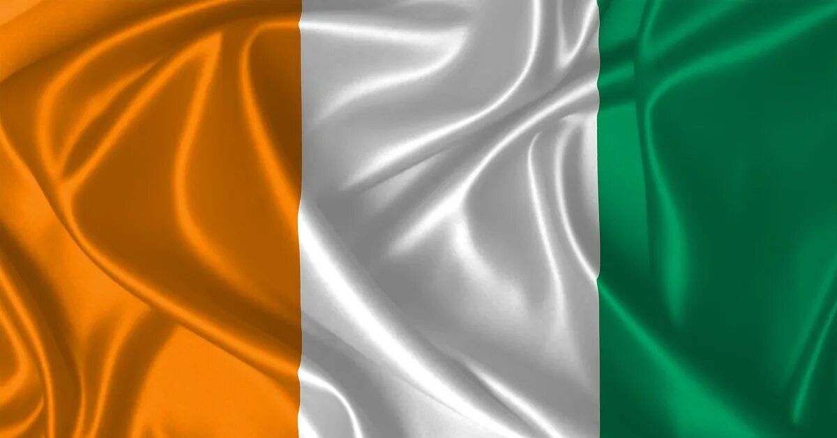 Кот-д’Ивуар столкнулся с новой вспышкой высокопатогенного гриппа птиц H5N1 на фоне усиленного давления на сектор птицеводства