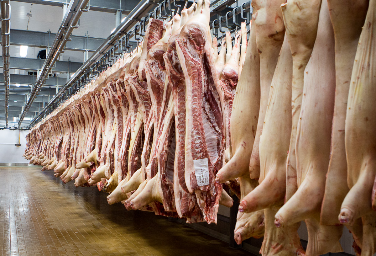 Экспорт свиноводческой продукции из России в Китай вырос на 57%