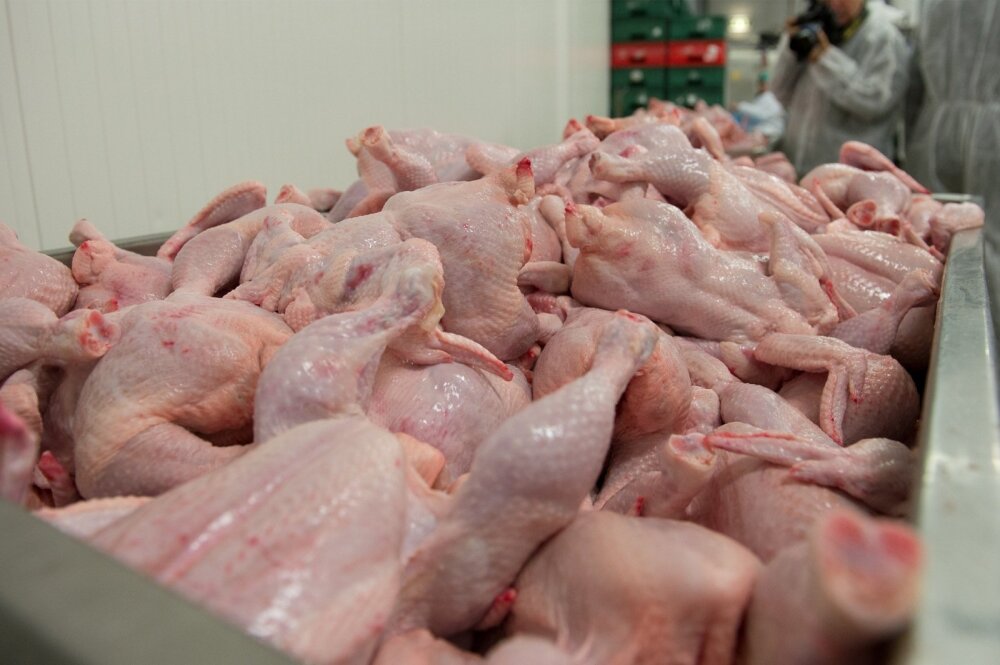 Экспорт мяса птицы в страны дальнего зарубежья и в страны ЕАЭС из России в январе-ноябре 2022 г.