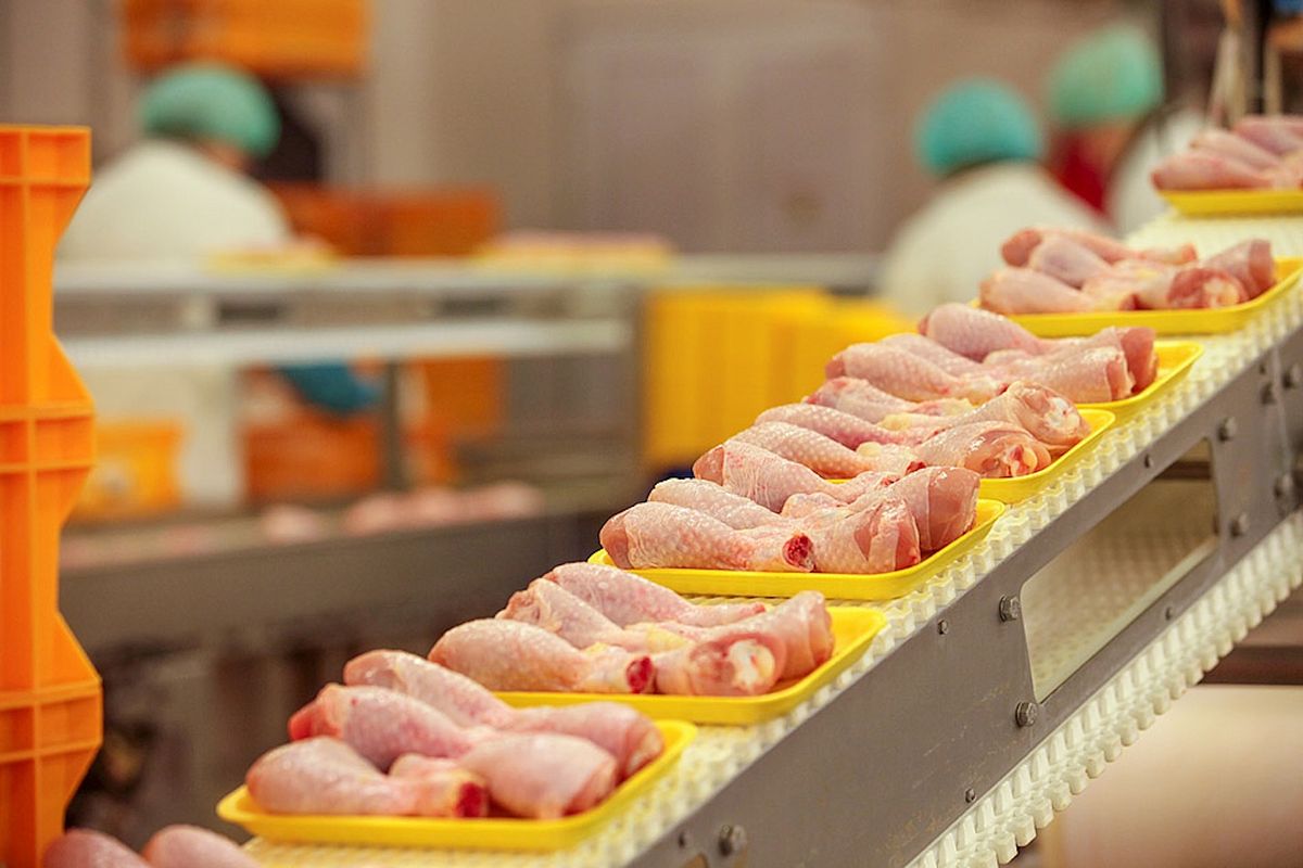 Глобальный избыток куриного мяса в Бразилии улучшается