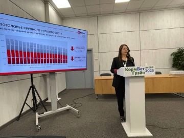 photo_5_2025-10-30_22-01-48