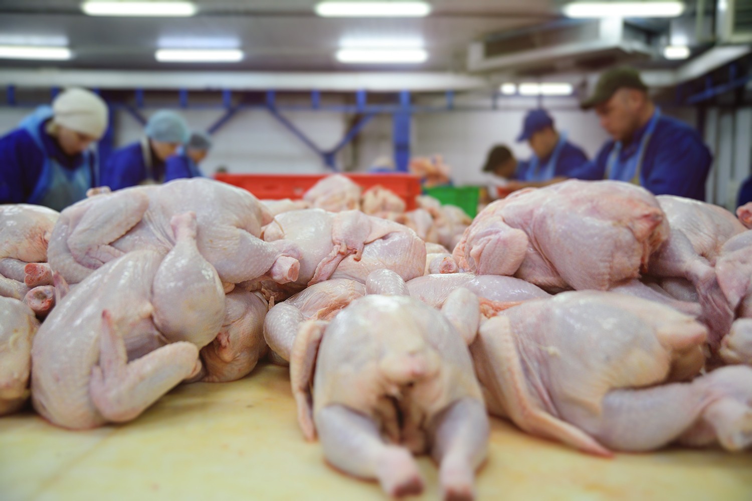 Мониторинг цен на мясо птицы в России и за рубежом, данные на 06 марта 2023 года