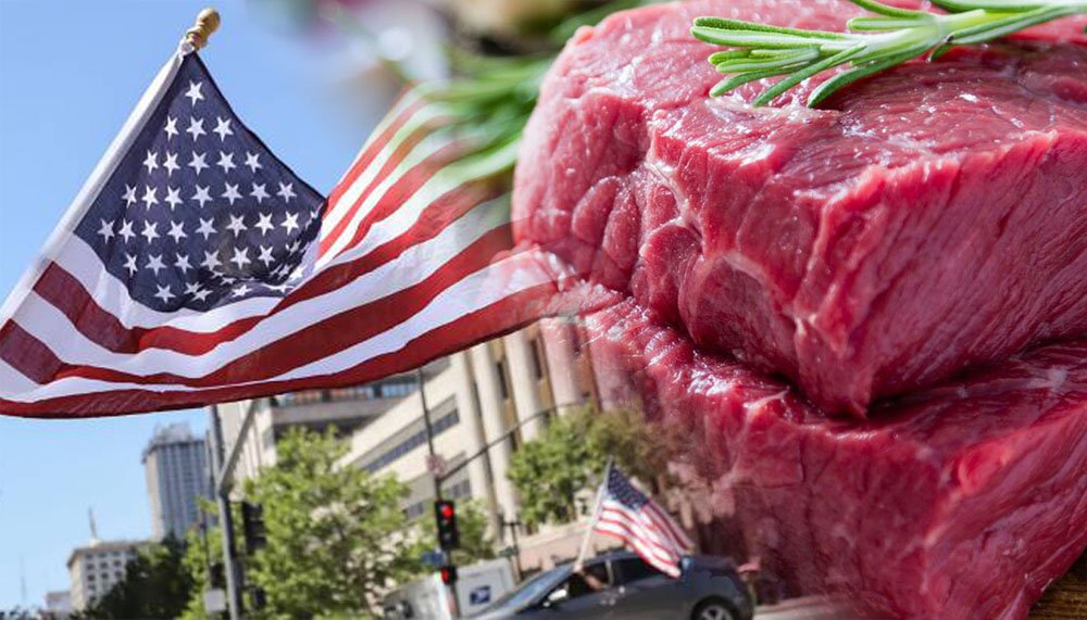 Мониторинг цен на мясо в США