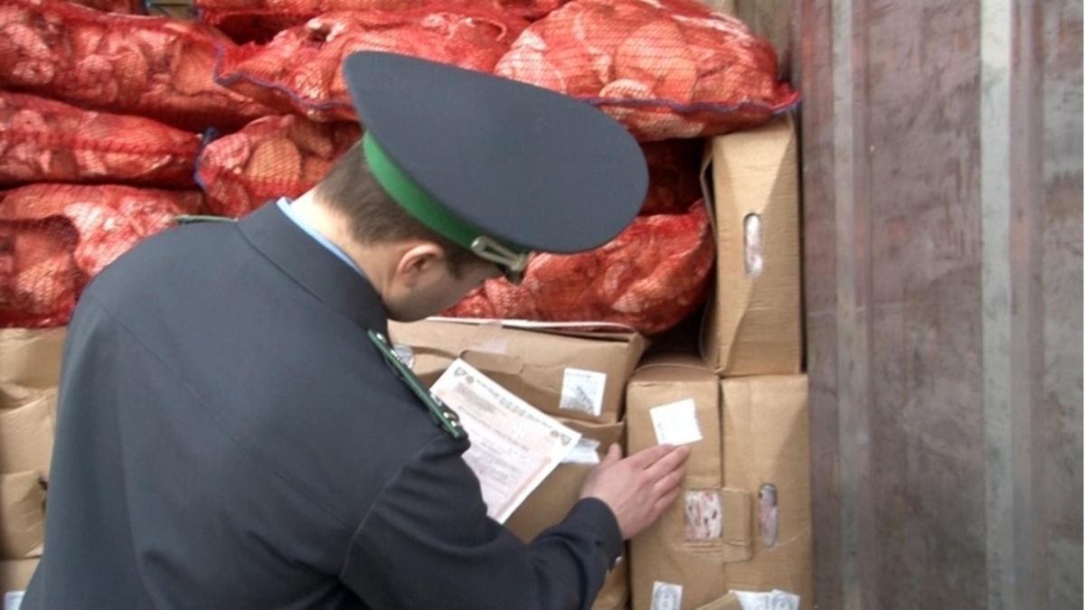 Правительство не поддержало идею о передаче нелегальной продукции нуждающимся