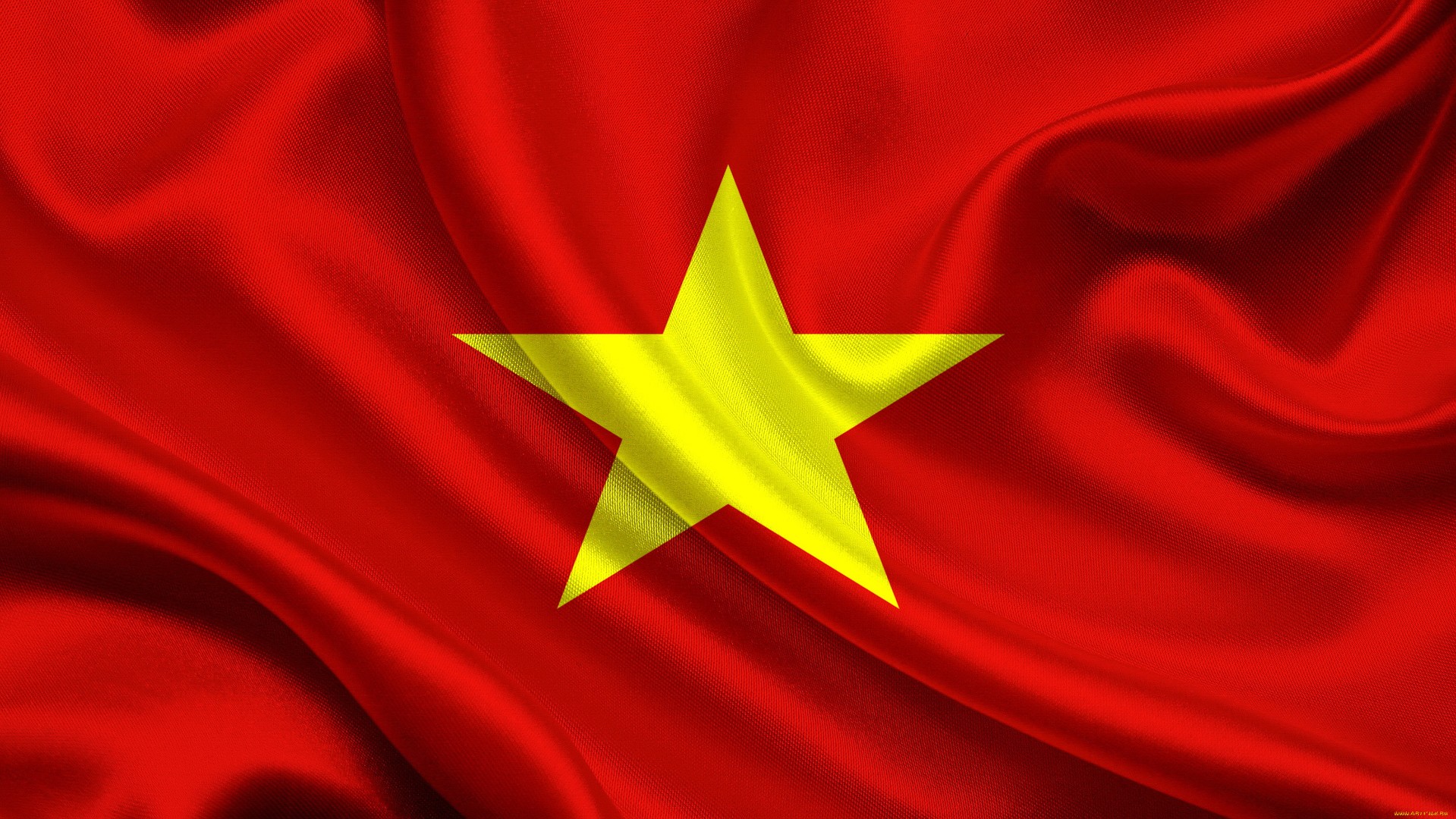 Вьетнам должен будет ежегодно импортировать 3,5 миллиона суточных цыплят