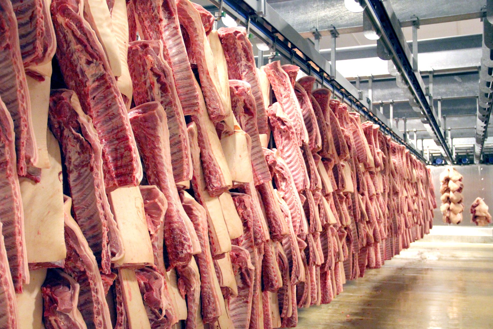 Россельхознадзор и Главное таможенное управление КНР готовятся к открытию поставок свинины из России в Китай